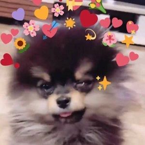 WELCOME❤️🧡💛💚💙GIFT